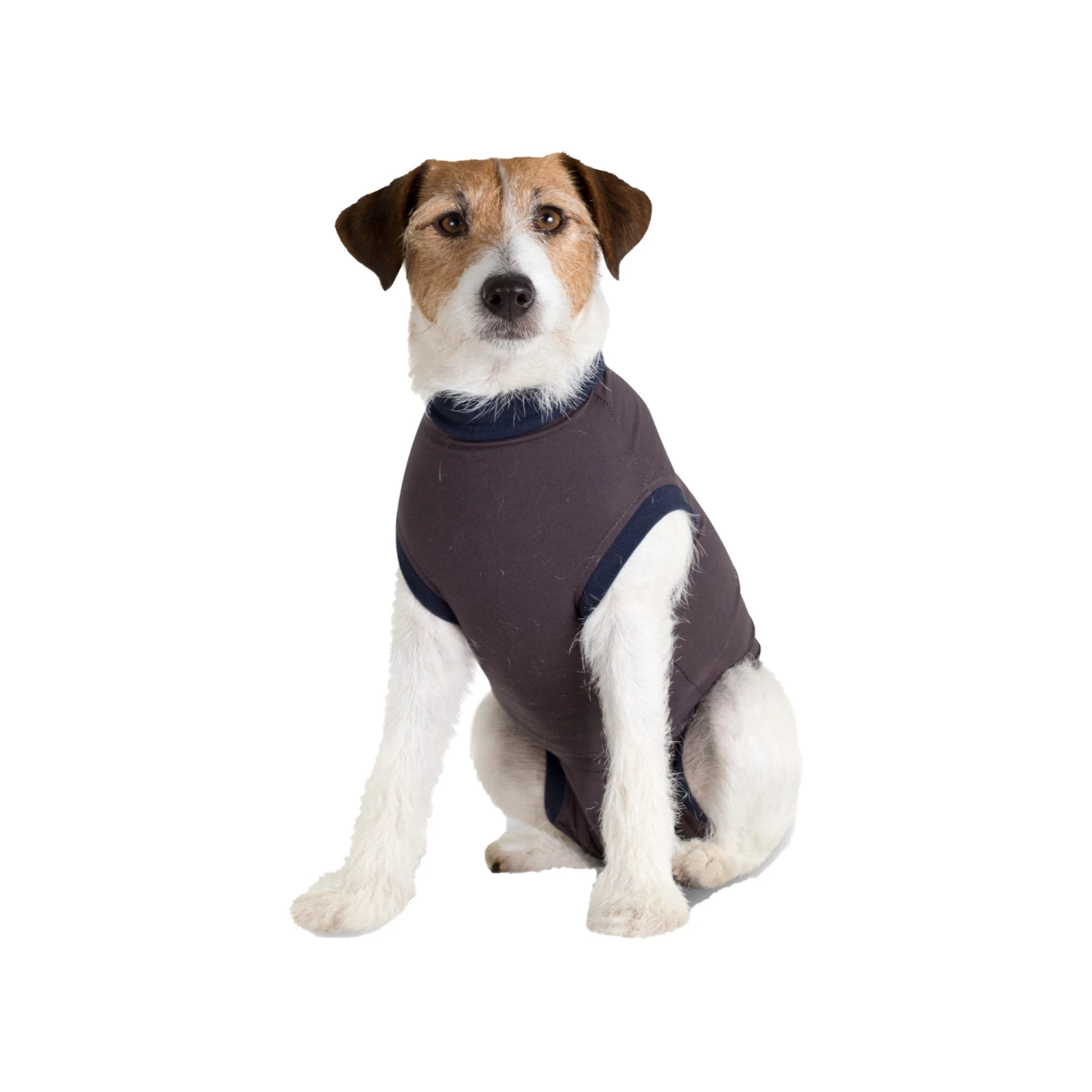 Jacketz Medical Body Suit Hond 13 Jacketz Medical Body Suit Hond - Afbeelding 13