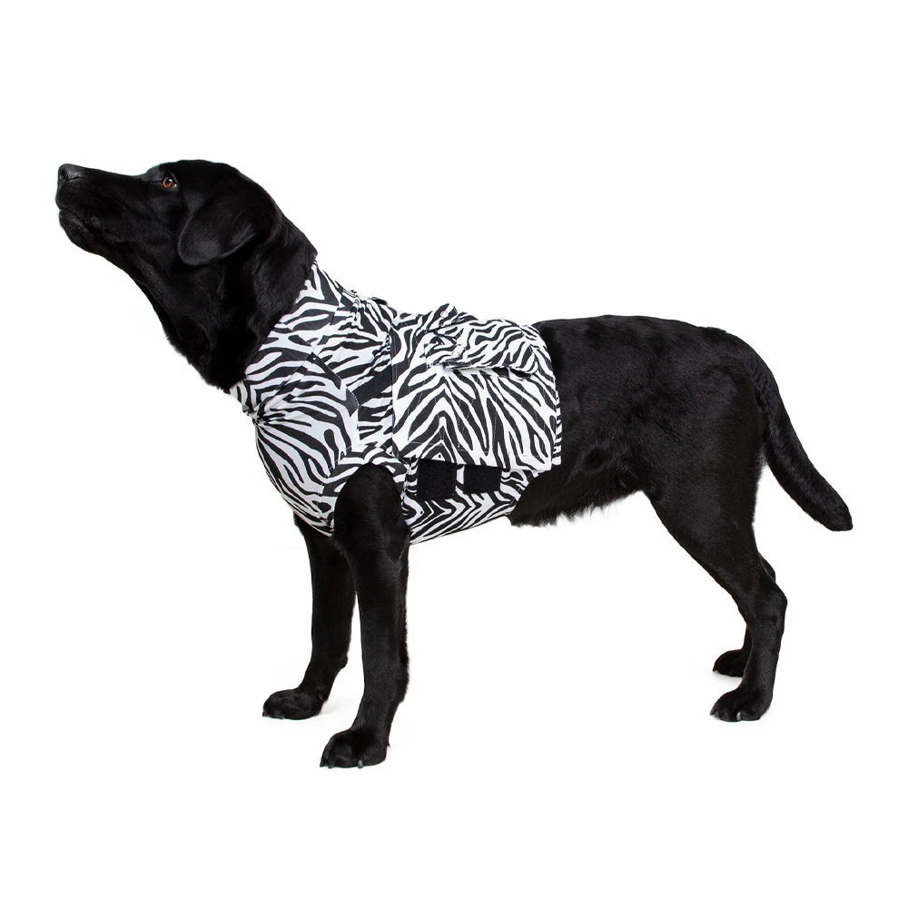 Medical Pet Top Shirt - Zebraprint 5 Medical Pet Top Shirt - Zebraprint - Afbeelding 5