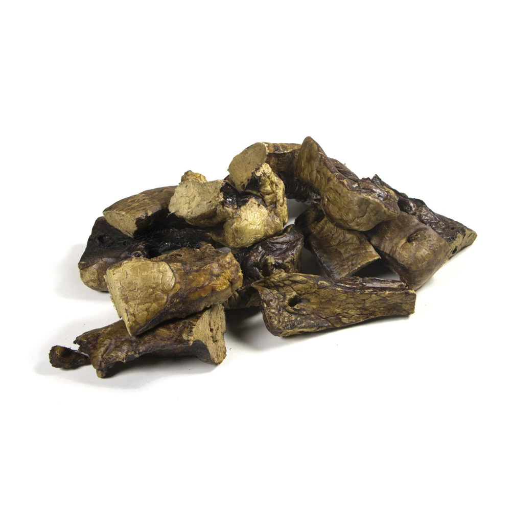 Competition Paardenlongen 1 Competition Paardenlongen