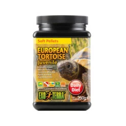 Exo Terra European Tortoise Juvenile