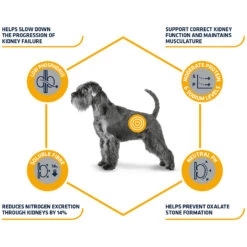 Affinity Advance Veterinary Diets Renal Hond -Huisdierproducten affinity advance veterinary diets renal hond 177343 1500 none