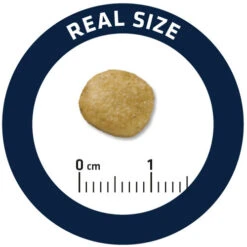 Affinity Advance Veterinary Diets Renal Hond -Huisdierproducten affinity advance veterinary diets renal hond 177349 0500 none