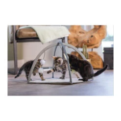 Beeztees Kitten Speelkleed Xabia -Huisdierproducten beeztees kitten speelkleed xabia 216531 2000 none