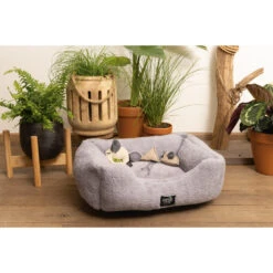 Beeztees Minus One Nox Kattenmand - Lichtgrijs -Huisdierproducten beeztees minus one nox kattenmand lichtgrijs 188100 2000 none