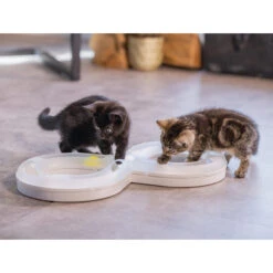 Beeztees Kitten Speelrail Agty -Huisdierproducten beeztees speelrail agty 216522 2000 none