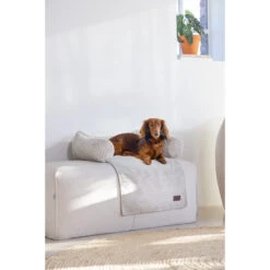 Designed By Lotte Bankkussen Ribbed 13 Designed By Lotte Bankkussen Ribbed -Huisdierproducten designed by lotte bankkussen ribbed 222738 2000 none