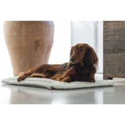 Designed By Lotte Benchkussen Gisel -Huisdierproducten designed by lotte benchkussen gisel 221516 1000 none