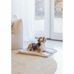 Designed By Lotte Benchkussen Gisel -Huisdierproducten designed by lotte benchkussen gisel 221517 1500 none