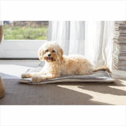 Designed By Lotte Benchkussen Gisel -Huisdierproducten designed by lotte benchkussen gisel 221518 1500 none