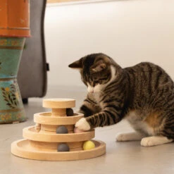 Designed By Lotte Speeltoren Mia -Huisdierproducten designed by lotte speeltoren mia 193652 1000 none