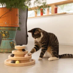 Designed By Lotte Speeltoren Mia -Huisdierproducten designed by lotte speeltoren mia 193658 1000 none