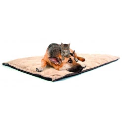 Duvo+ Flectabed Q -Huisdierproducten e731b79e8da682839922aea4f9011a7dae868814c04ea8dc9e67144e2f8ec15d 3