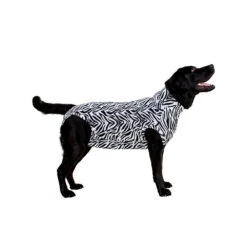 Medical Pet Shirt Hond Zebra Print 19 Medical Pet Shirt Hond Zebra Print -Huisdierproducten ea3b0ebbd8f8ee365294cad3fe2f31ee5f438757f7b2d3ae5bc8b0633952a80a 3