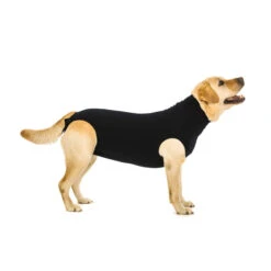 Suitical Recovery Suit Hond - Zwart 18 Suitical Recovery Suit Hond - Zwart -Huisdierproducten fa0e13e2f13f2afe2f8a442d3d97741f85bfcf8eec1c0a1780b298b92bca02aa 3