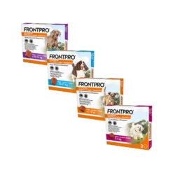 FRONTPRO Kauwtabletten Hond 33 FRONTPRO Kauwtabletten Hond -Huisdierproducten frontpro kauwtabletten hond 219039 1500 none