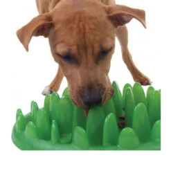Company Of Animals Green Slow Dog Feeder -Huisdierproducten green slow dog feeder 119422 0500 none