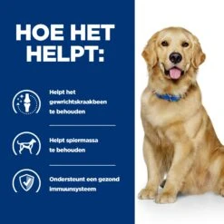 Hill's J/d Joint Care - Prescription Diet - Canine -Huisdierproducten hills jd joint care prescription diet canine 218018 2000 none