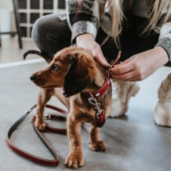 Hunter Training Line Love -Huisdierproducten hunter training line love 223477 1000 none