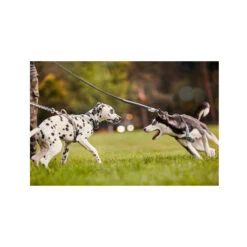 Hurtta Razzle Dazzle Y-Harness - Hedge -Huisdierproducten hurtta razzle dazzle harness hedge 185245 2000 none