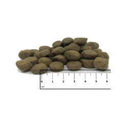 ICEPAW Polar Deer -Huisdierproducten icepaw polar deer 221040 1000 none