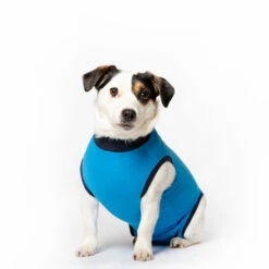 Jacketz Medical Body Suit Hond 31 Jacketz Medical Body Suit Hond -Huisdierproducten jacketz medical body suit hond m blue 129589 2000 none
