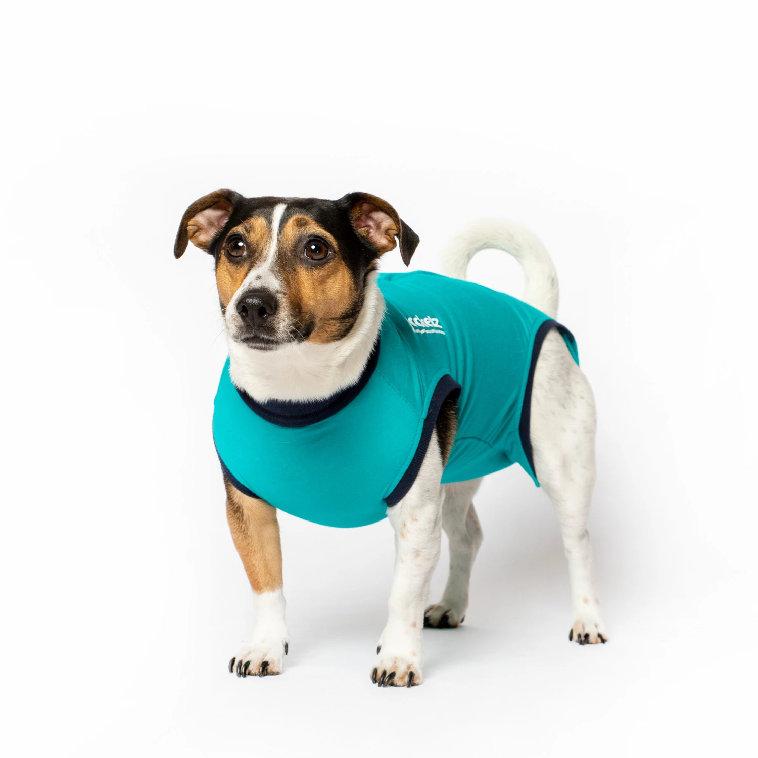 Jacketz Medical Body Suit Hond 3 Jacketz Medical Body Suit Hond - Afbeelding 3