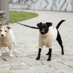 Kentucky Dogwear Hondenjas Teddy Fleece 21 Kentucky Dogwear Hondenjas Teddy Fleece -Huisdierproducten kentucky dogwear hondenjas teddy fleece 219186 0500 none