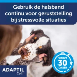 Adaptil Halsband 16 Adaptil Halsband -Huisdierproducten knt105PEfXWOaVZYOBD4cCfJvkFbpw metaQWRhcHRpbC1jYWxtLWNvbGxhci1DYXJvdXNzZWwtNS5qcGc