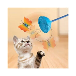 KONG Cat Teaser Purrsuit Vlinder -Huisdierproducten kong cat teaser purrsuit vlinder 217713 1000 none