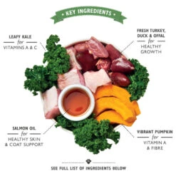 Lily's Kitchen Puppy - Blik - Kalkoen, Eend En Boerenkool -Huisdierproducten lilys kitchen puppy kalkoen eend en boerenkool 202271 1000 none