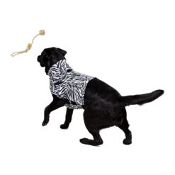 Medical Pet Top Shirt - Zebraprint 18 Medical Pet Top Shirt - Zebraprint -Huisdierproducten medical pet top shirt zebraprint 150701 1000 none