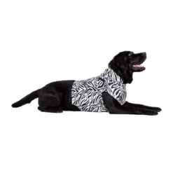 Medical Pet Top Shirt - Zebraprint 19 Medical Pet Top Shirt - Zebraprint -Huisdierproducten medical pet top shirt zebraprint 150704 1000 none