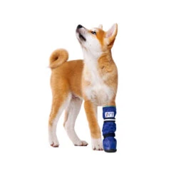 Medical Pet Shirt Boot 24 Medical Pet Shirt Boot -Huisdierproducten medical pets boot 167479 1000 none