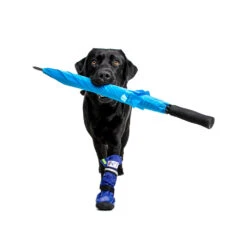 Medical Pet Shirt Boot 26 Medical Pet Shirt Boot -Huisdierproducten medical pets boot 167482 1000 none