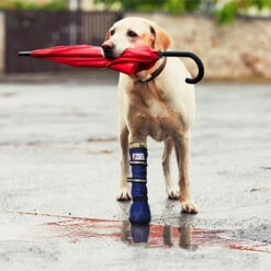 Medical Pet Shirt Boot 32 Medical Pet Shirt Boot -Huisdierproducten medical pets boot 167512 0500 none