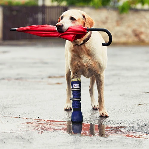 Medical Pet Shirt Boot 16 Medical Pet Shirt Boot - Afbeelding 16