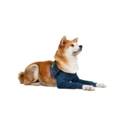 MPS-TAZ2 Voorpootmouwtjes -Huisdierproducten mps taz2 voorpootmouwtjes 167446 1000 none