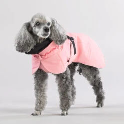 PAIKKA Visibility Winter Jacket -Huisdierproducten paikka visibility winter jacket 217799 2000 none