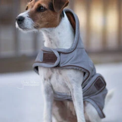 Kentucky Dog Coat Reflective & Waterrepellent -Huisdierproducten prod 15746 219013 0500 none