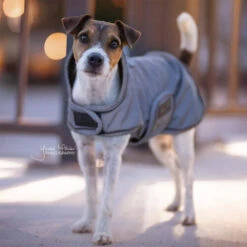 Kentucky Dog Coat Reflective & Waterrepellent -Huisdierproducten prod 15746 219014 0500 none