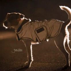 Kentucky Dog Coat Reflective & Waterrepellent -Huisdierproducten prod 15746 219015 0500 none
