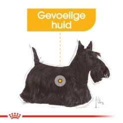 Royal Canin Dermacomfort Wet - Hondenvoer -Huisdierproducten royal canin dermacomfort wet hondenvoer 131624 1000 none