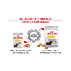 Royal Canin Dermacomfort Wet - Hondenvoer -Huisdierproducten royal canin dermacomfort wet hondenvoer 164188 0500 none