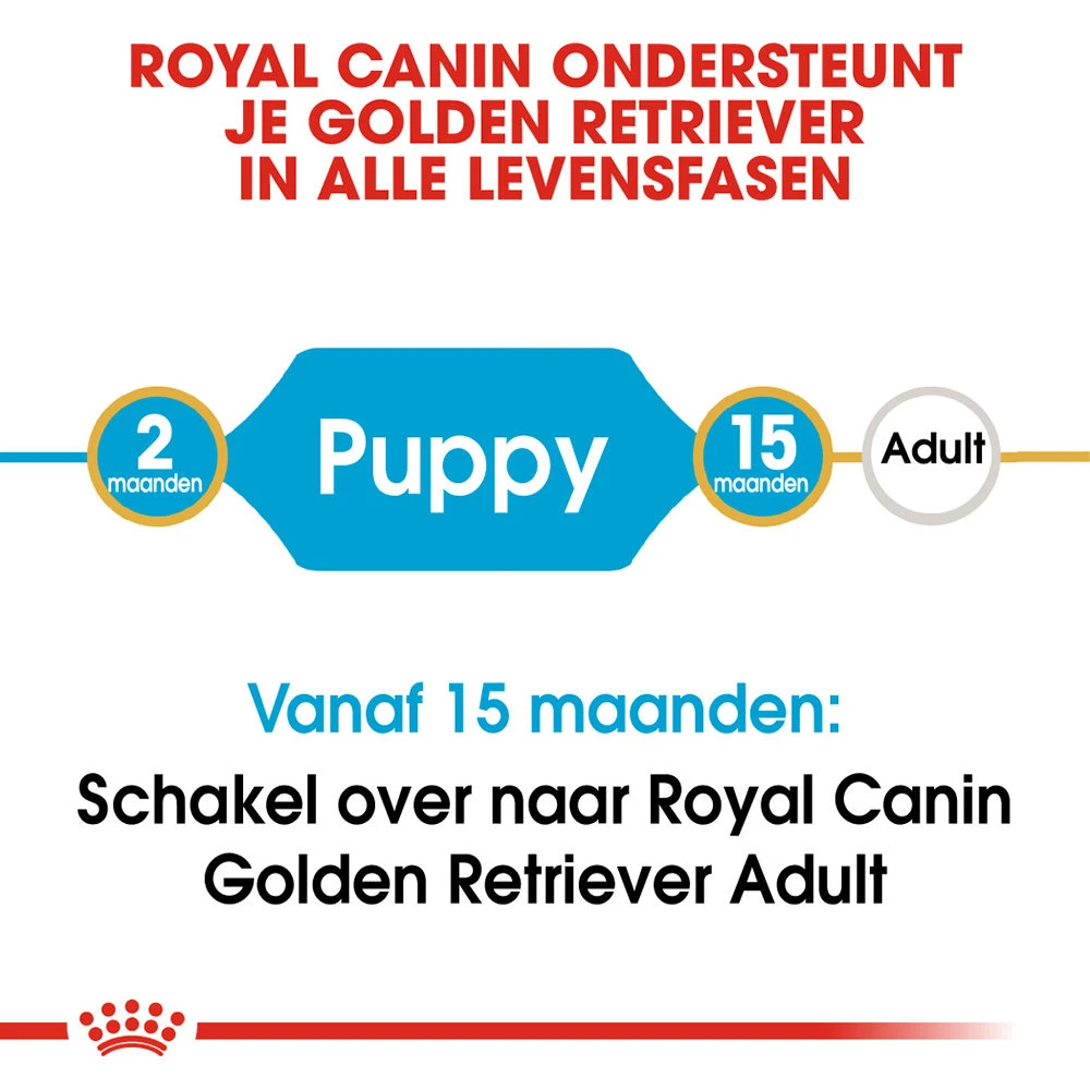 Royal Canin Golden Retriever Puppy - Hondenvoer 7 Royal Canin Golden Retriever Puppy - Hondenvoer - Afbeelding 7
