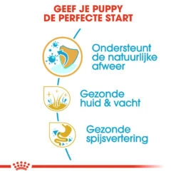 Royal Canin Golden Retriever Puppy - Hondenvoer 14 Royal Canin Golden Retriever Puppy - Hondenvoer -Huisdierproducten royal canin golden retriever puppy hondenvoer 138955 1000 none