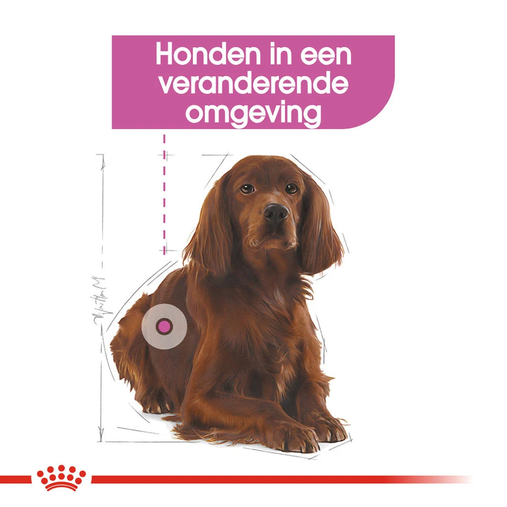 Royal Canin Medium Relax Care - Hondenvoer 5 Royal Canin Medium Relax Care - Hondenvoer - Afbeelding 5