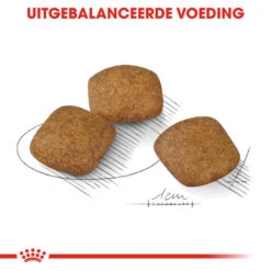 Royal Canin Medium Relax Care - Hondenvoer 16 Royal Canin Medium Relax Care - Hondenvoer -Huisdierproducten royal canin medium relax care hondenvoer 131207 1000 none
