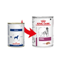 Royal Canin Renal Hond - Blik 8 Royal Canin Renal Hond - Blik -Huisdierproducten royal canin renal hond 164548 1000 none