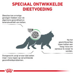 Royal Canin Satiety Weight Management Kat - Maaltijdzakje 13 Royal Canin Satiety Weight Management Kat - Maaltijdzakje -Huisdierproducten royal canin satiety weight management kat 156740 2000 none