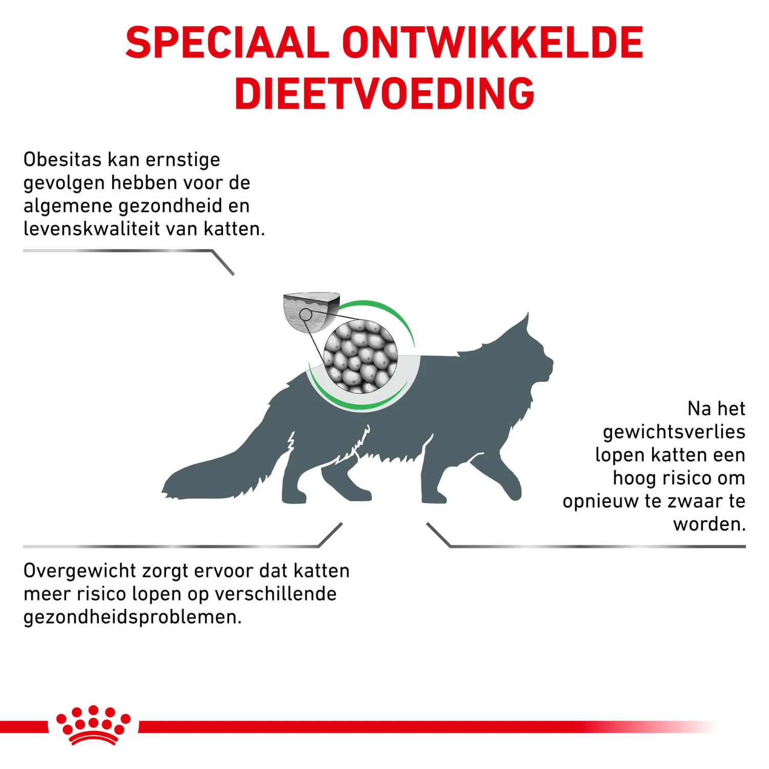 Royal Canin Satiety Weight Management Kat - Maaltijdzakje 4 Royal Canin Satiety Weight Management Kat - Maaltijdzakje - Afbeelding 4